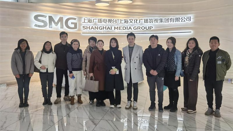 上海VI设计公司服务内容揭秘：从品牌形象到视觉传达
