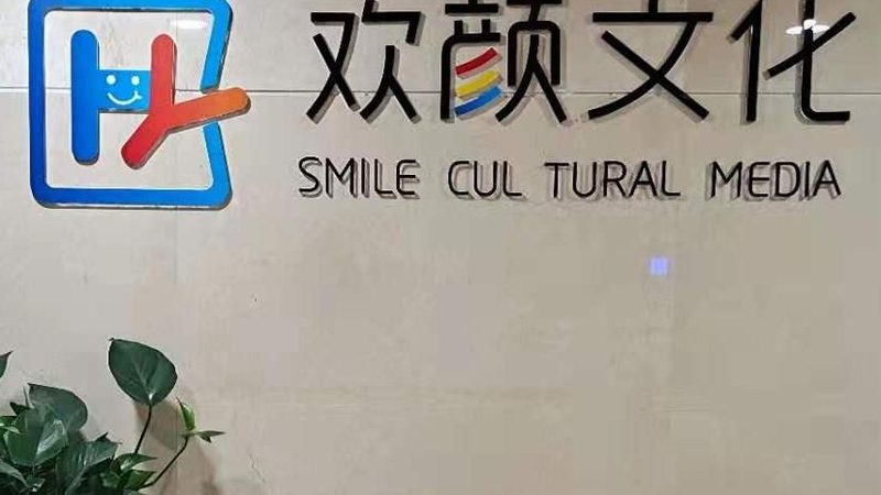 传播策略应包括传播渠道、传播内容、传播节奏等方面。以下是一些常见的传播策略：
